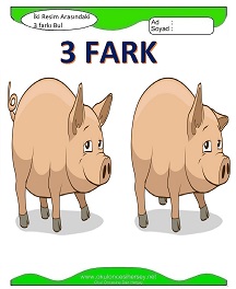 İki Resim Arasındaki Farkı Bul Etkinliği